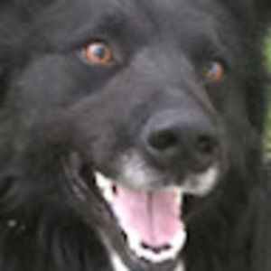 Meet your Posher, Jana